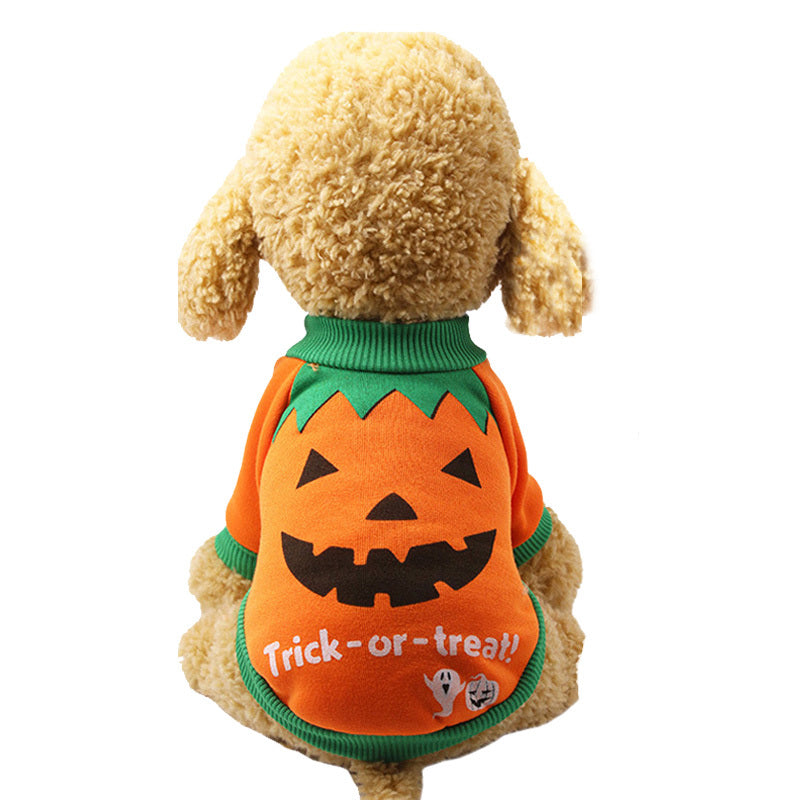 Halloween Pet Costume