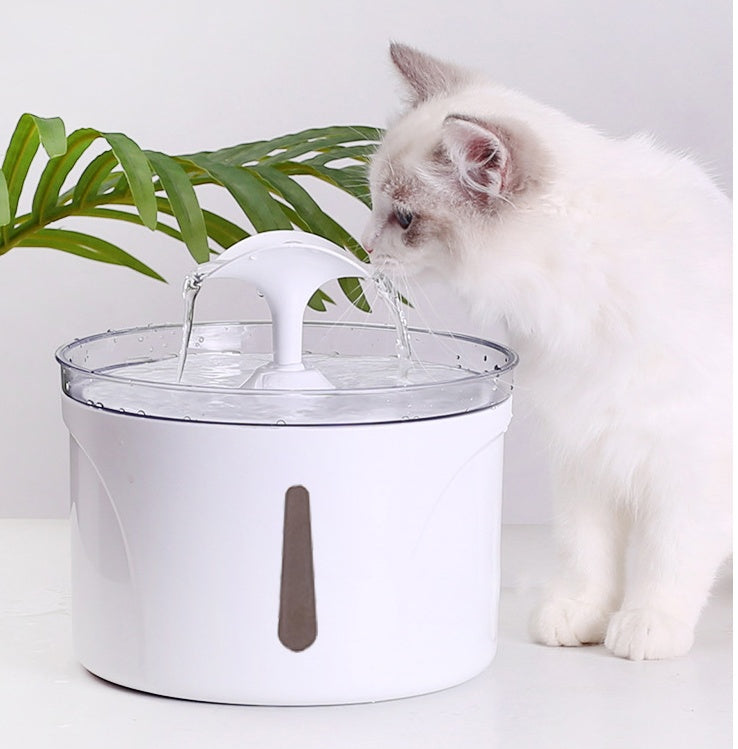 Filtered Water Dispenser