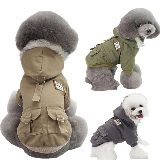 Pet Coat
