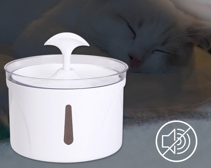 Filtered Water Dispenser