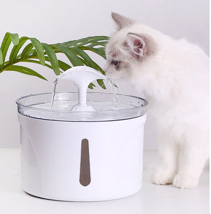 Filtered Water Dispenser
